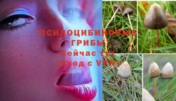марки lsd Алексин