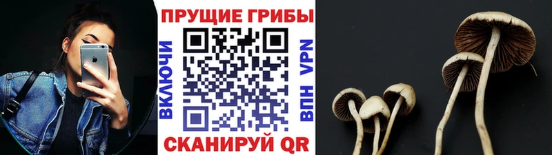 Галлюциногенные грибы мухоморы  Заводоуковск 
